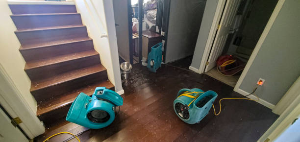 Best Flood damage cleanup  in Powdersville, SC