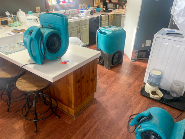 Best Fire Damage Restoration  in Powdersville, SC