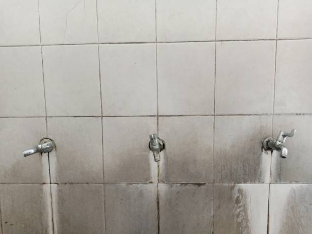 Best Basement water damage restoration  in Powdersville, SC