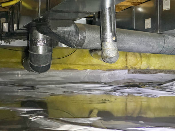 Best Local water damage restoration  in Powdersville, SC
