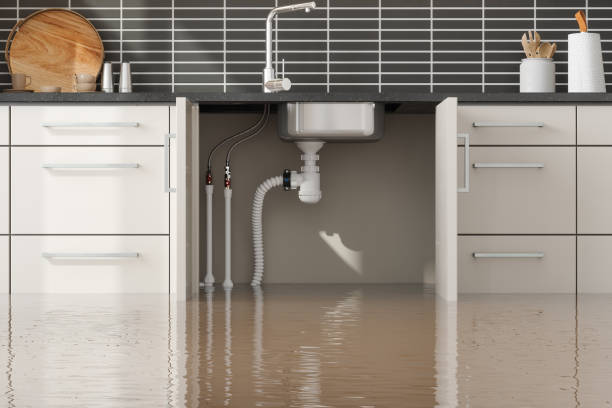 Best Water damage restoration mold remediation  in Powdersville, SC